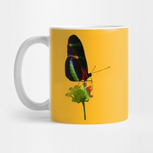 butterfly, flower, insect, rainbow Mug